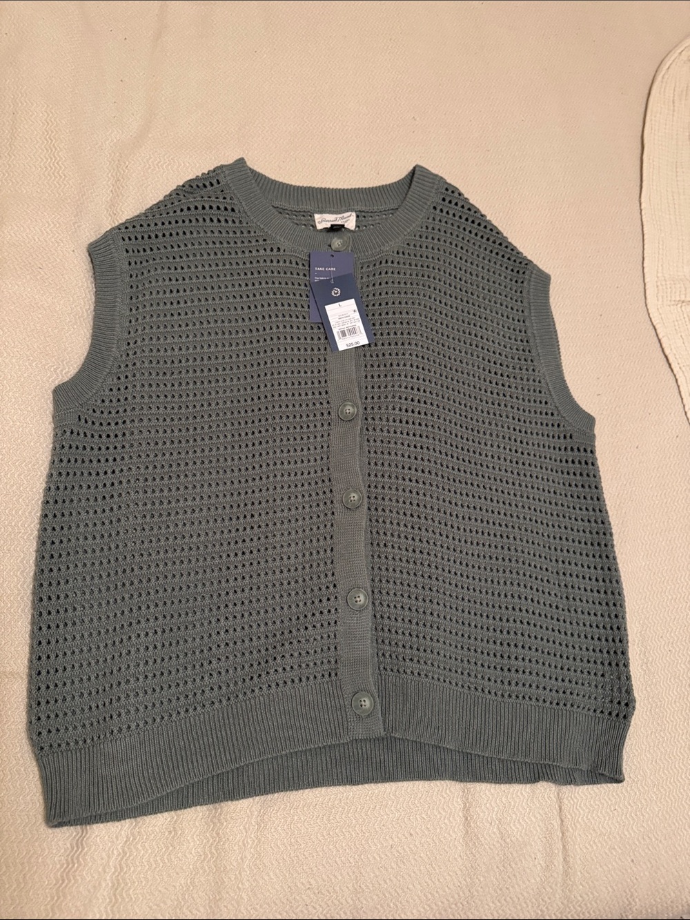 Universal Thread Open-Knit Button-Front Sweater Vest in Sage